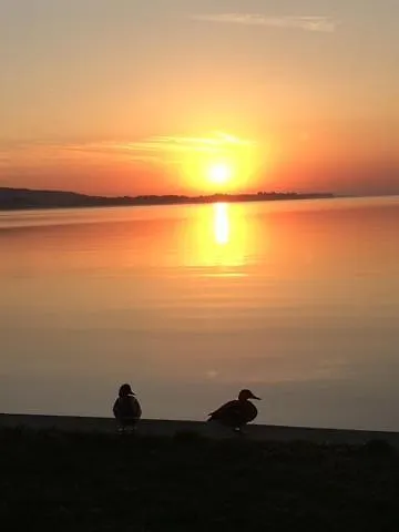 Balaton Vendeghaz בית הארחה קסזטלי